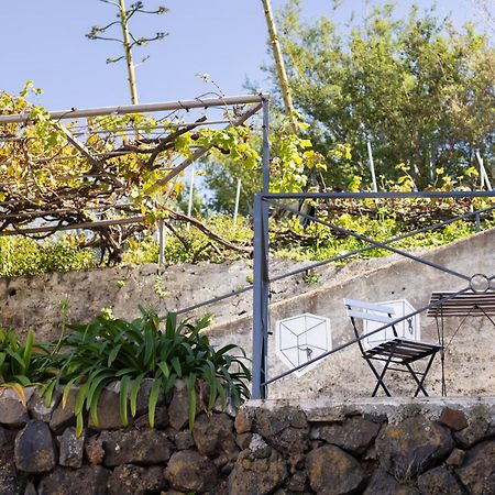 Ek Las Vistas Finca El Milagro La Orotava Eksteriør bilde