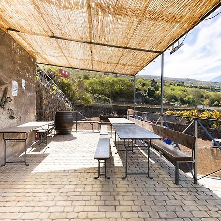 Ek Las Vistas Finca El Milagro La Orotava Eksteriør bilde