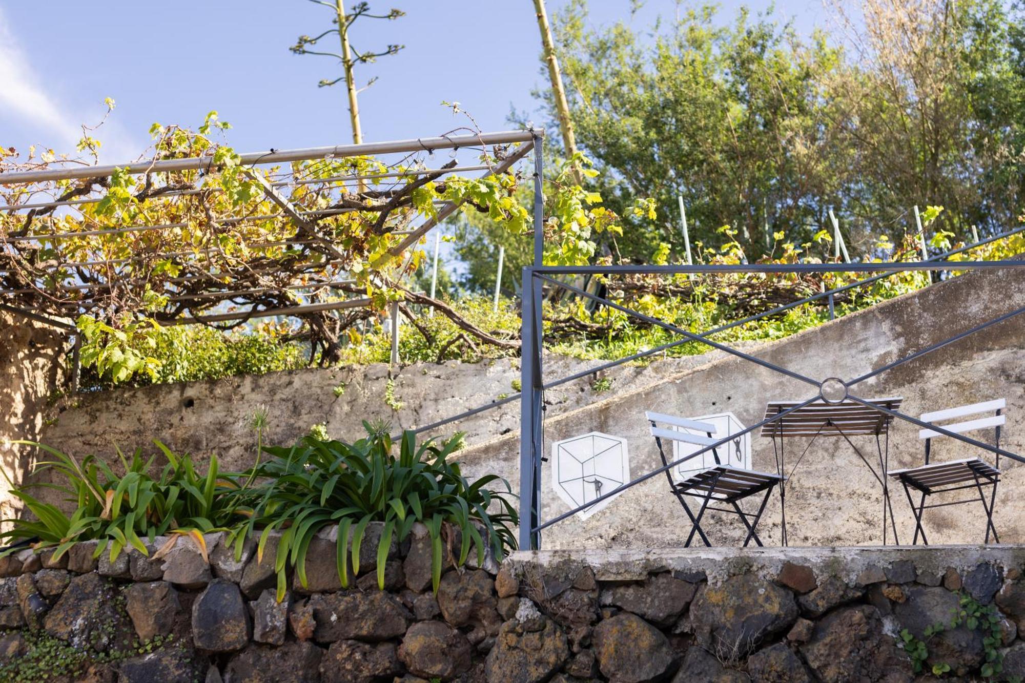 Ek Las Vistas Finca El Milagro La Orotava Eksteriør bilde