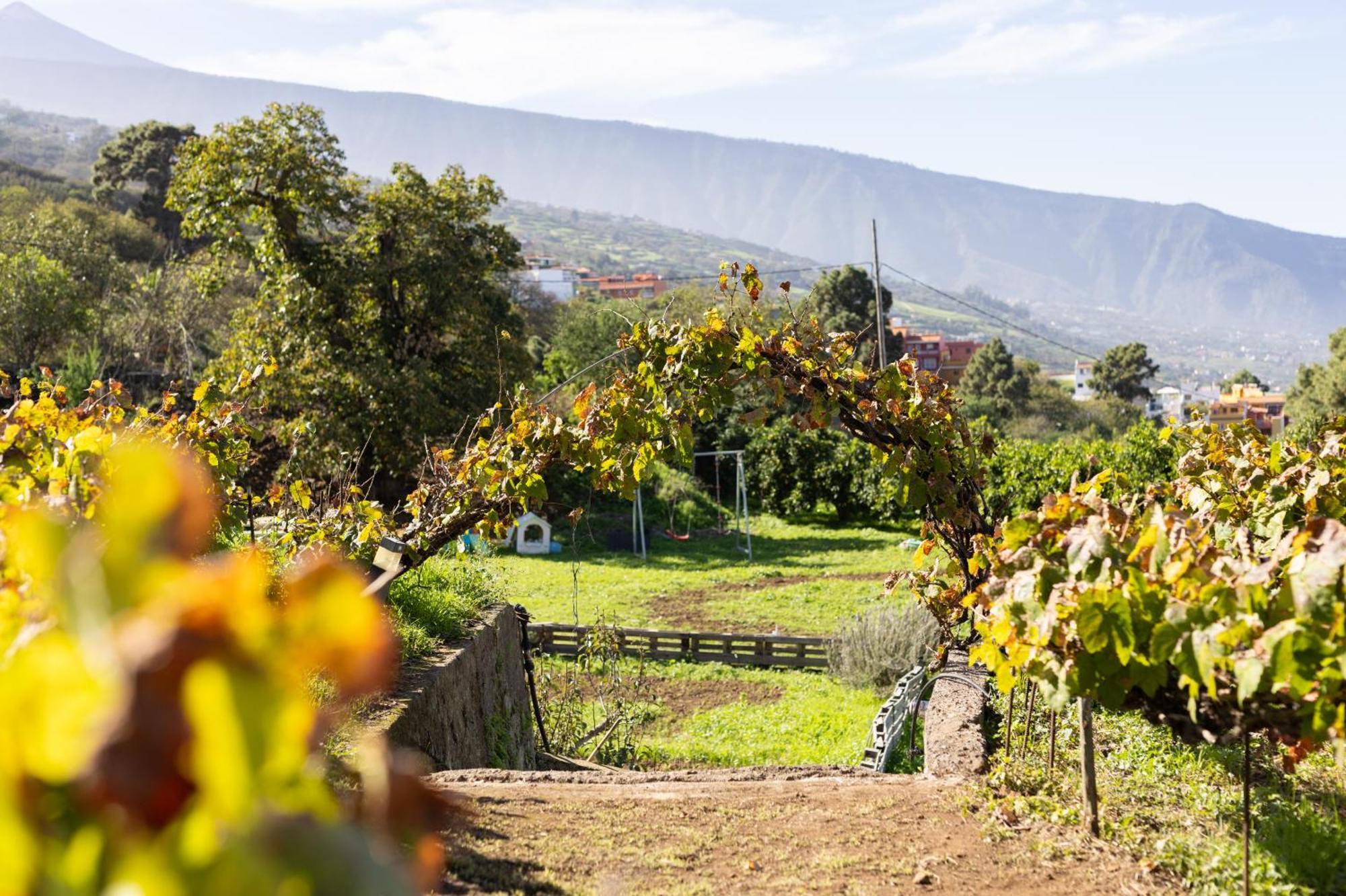 Ek Las Vistas Finca El Milagro La Orotava Eksteriør bilde