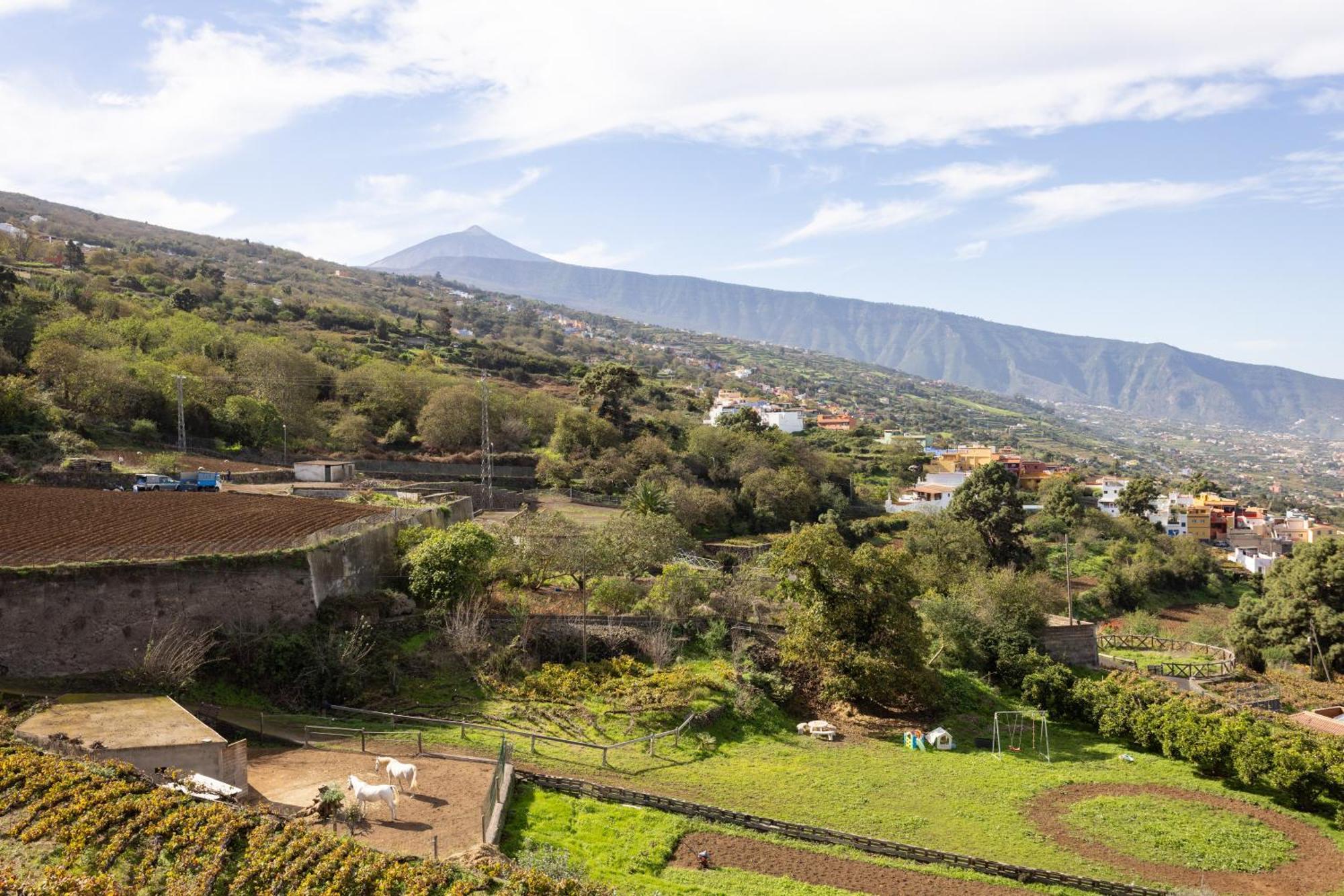 Ek Las Vistas Finca El Milagro La Orotava Eksteriør bilde