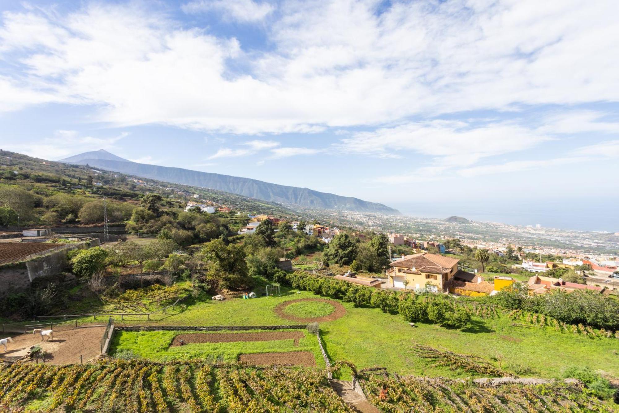Ek Las Vistas Finca El Milagro La Orotava Eksteriør bilde